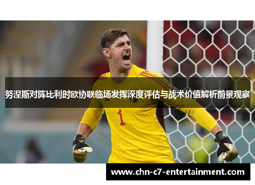 努涅斯对阵比利时欧协联临场发挥深度评估与战术价值解析前景观察